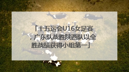 十五运会U16女足赛，广东队战胜陕西队以全胜战绩获得小组第一