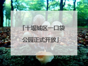 十堰城区一口袋公园正式开放