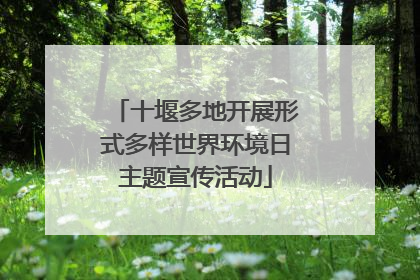 十堰多地开展形式多样世界环境日主题宣传活动