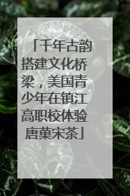 千年古韵搭建文化桥梁，美国青少年在镇江高职校体验唐菓宋茶