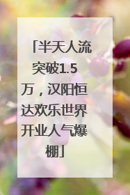 半天人流突破1.5万，汉阳恒达欢乐世界开业人气爆棚