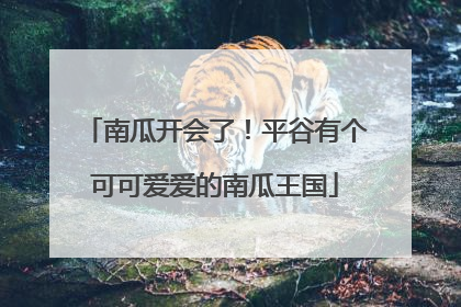 南瓜开会了！平谷有个可可爱爱的南瓜王国