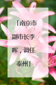 南京市副市长李晖，调任泰州