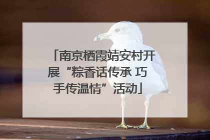 南京栖霞靖安村开展“粽香话传承 巧手传温情”活动