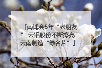 南博会5年“老朋友” 云铝股份不断擦亮云南制造“绿名片”
