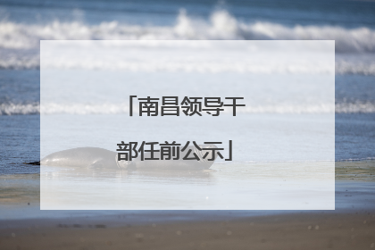 南昌领导干部任前公示