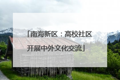 南海新区：高校社区开展中外文化交流