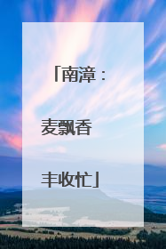南漳：麦飘香 丰收忙