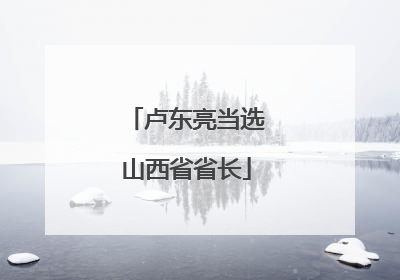 卢东亮当选山西省省长