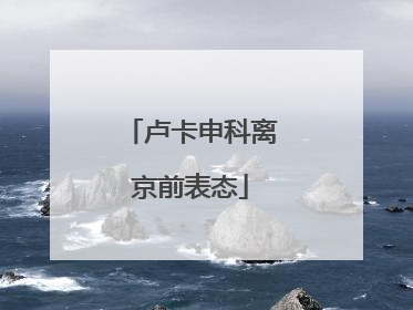 卢卡申科离京前表态