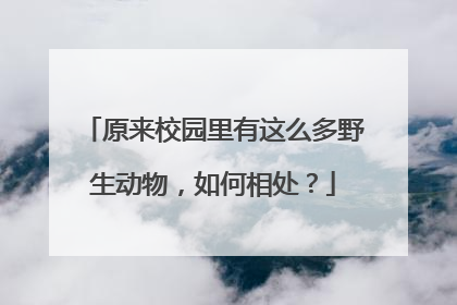 原来校园里有这么多野生动物，如何相处？