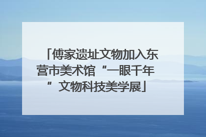傅家遗址文物加入东营市美术馆“一眼千年”文物科技美学展