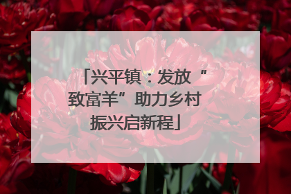 兴平镇：发放“致富羊”助力乡村振兴启新程