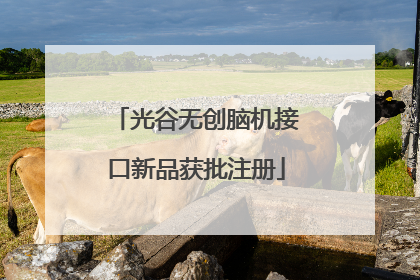 光谷无创脑机接口新品获批注册