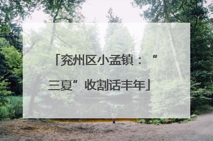 兖州区小孟镇：“三夏”收割话丰年