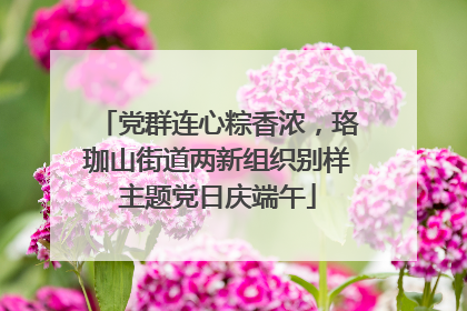 党群连心粽香浓，珞珈山街道两新组织别样主题党日庆端午
