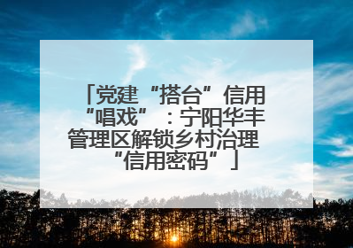 党建“搭台”信用“唱戏”：宁阳华丰管理区解锁乡村治理“信用密码”