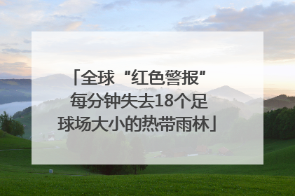 全球“红色警报”  每分钟失去18个足球场大小的热带雨林
