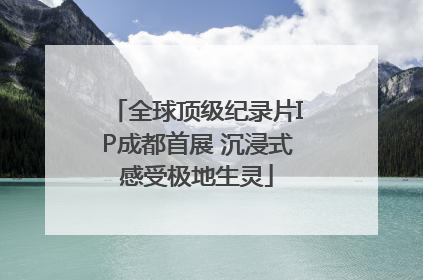 全球顶级纪录片IP成都首展 沉浸式感受极地生灵