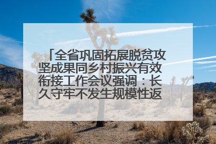 全省巩固拓展脱贫攻坚成果同乡村振兴有效衔接工作会议强调：长久守牢不发生规模性返贫致贫底线 王宁出席并讲话 王予波主持