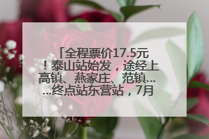 全程票价17.5元！泰山站始发，途经上高镇、燕家庄、范镇……终点站东营站，7月1日开通！