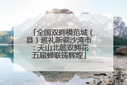 全国双拥模范城（县）巡礼新疆沙湾市：天山北麓双拥花 五届蝉联铸辉煌
