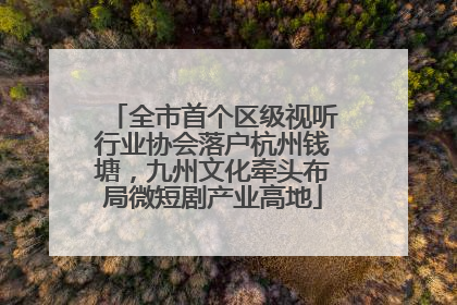 全市首个区级视听行业协会落户杭州钱塘，九州文化牵头布局微短剧产业高地
