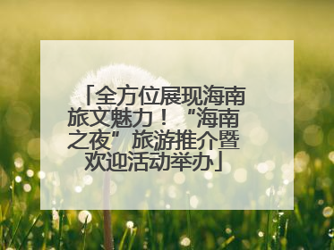 全方位展现海南旅文魅力！“海南之夜”旅游推介暨欢迎活动举办