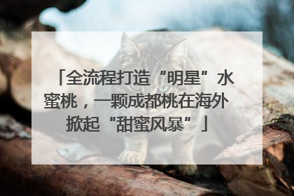 全流程打造“明星”水蜜桃，一颗成都桃在海外掀起“甜蜜风暴”