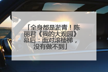 全身都是淤青！陈丽君《我的大观园》幕后：面对滚楼梯，没有做不到