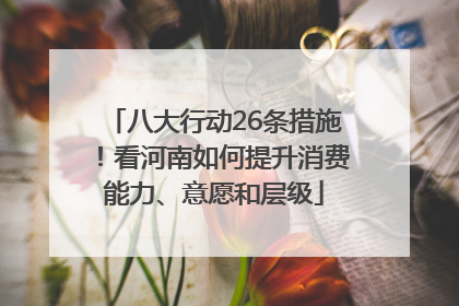八大行动26条措施！看河南如何提升消费能力、意愿和层级