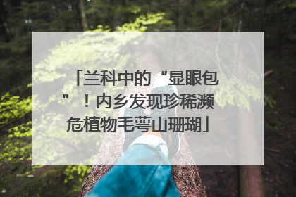 兰科中的“显眼包”！内乡发现珍稀濒危植物毛萼山珊瑚