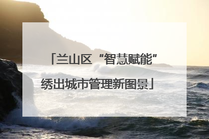 兰山区“智慧赋能”绣出城市管理新图景