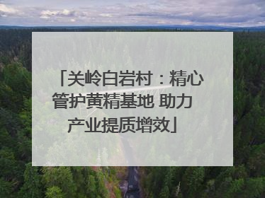 关岭白岩村：精心管护黄精基地 助力产业提质增效