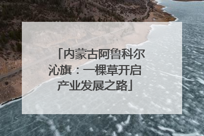 内蒙古阿鲁科尔沁旗：一棵草开启产业发展之路