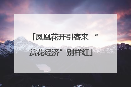 凤凰花开引客来 “赏花经济”别样红