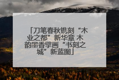 刀笔春秋镌刻“木业之都”新华章 木韵墨香擘画“书刻之城”新蓝图