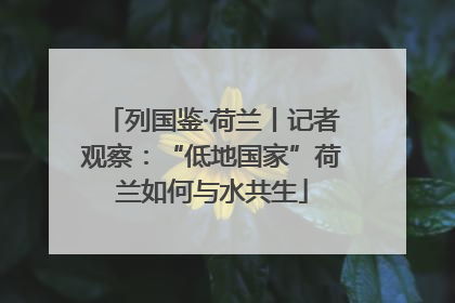 列国鉴·荷兰丨记者观察：“低地国家”荷兰如何与水共生