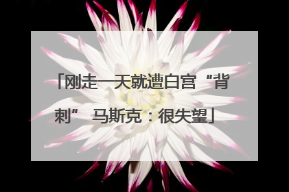 刚走一天就遭白宫“背刺” 马斯克：很失望