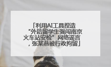 利用AI工具捏造 “外籍留学生强闯南京火车站安检”网络谣言，张某燕被行政拘留