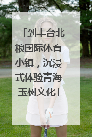 到丰台北粮国际体育小镇，沉浸式体验青海玉树文化