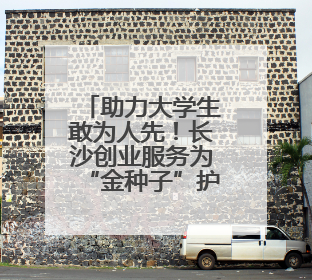助力大学生敢为人先！长沙创业服务为“金种子”护航