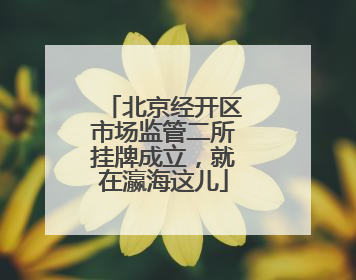 北京经开区市场监管二所挂牌成立，就在瀛海这儿