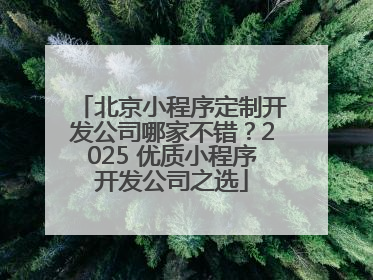 北京小程序定制开发公司哪家不错？2025 优质小程序开发公司之选
