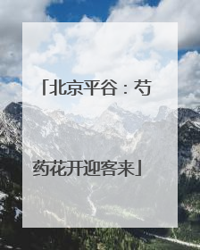 北京平谷：芍药花开迎客来