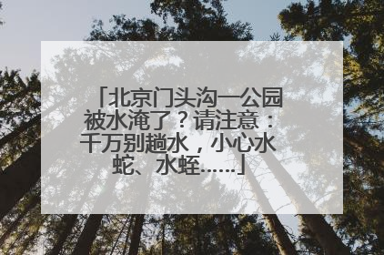 北京门头沟一公园被水淹了？请注意：千万别趟水，小心水蛇、水蛭……