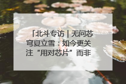 北斗专访｜无问芯穹夏立雪：如今更关注“用对芯片”而非“用贵芯片”