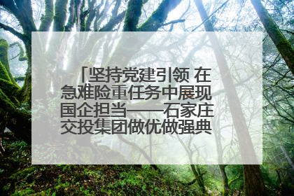 坚持党建引领 在急难险重任务中展现国企担当——石家庄交投集团做优做强典型报道之一