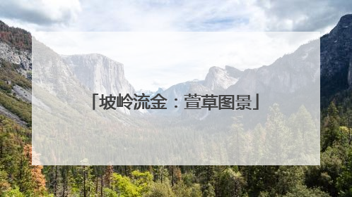 坡岭流金：萱草图景