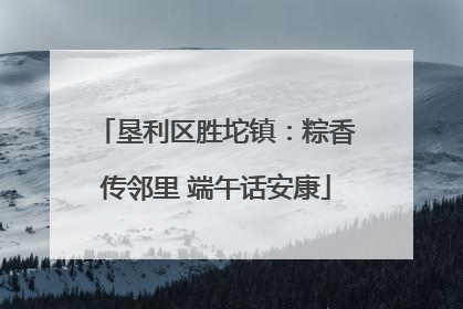 垦利区胜坨镇：粽香传邻里 端午话安康
